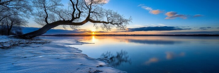 Wall Mural -  A tree stands in the foreground as the sun sets over a snow-covered lake