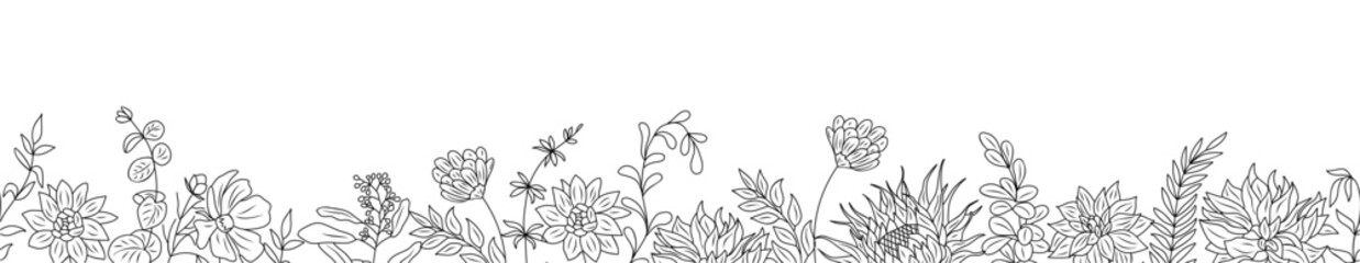 Wall Mural - Autumn flowers and herbs border. Horizontal seamless banner, floral overlay backdrop. Botanical monochrome ink sketch style hand drawn vector illustration isolated on transparent background.