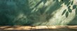 © shen - The Shadows on Green Wall
