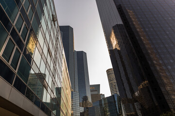 Canvas Print - city skyscrapers