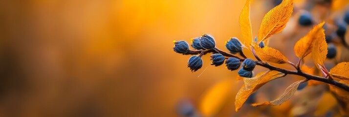 Poster -  A tight shot of a tree branch, adorned with leaves against a softly blurred backdrop of golden and azure foliage