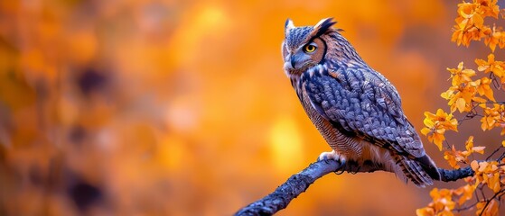 Wall Mural -  An owl perched on a tree branch against a hazy backdrop of golden and orange foliage