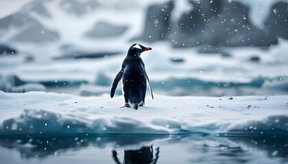 Adorable penguin on a melting ice floe amidst a snowy winter landscape, highlighting the impact of climate change on fragile ecosystems