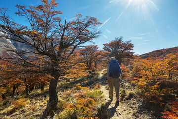 Sticker - Hike in autumn season