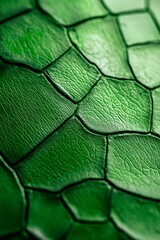  A tight shot of a green leaf, reflecting light on its surface