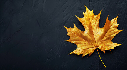 Maple leaf on a black background with copy space
