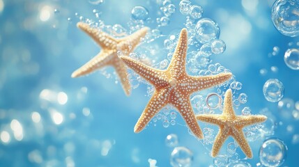 Soft blue background with three starfish and rising bubbles, capturing a tranquil ocean theme