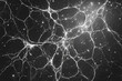 © PHAISITSAWAN - Imagine white particles forming intricate patterns on a solid black background.
