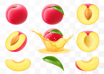 Wall Mural - Whole, half and sliced of plum, red plum falls into a splash of juice, Plum with stone isolated on transparent background. Set fruits or berries, fresh organic food. Realistic vector 3d illustration