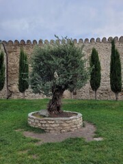 Poster - stone wall