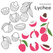 © Gridsadaarm - Lychee doodle hand drawn outline and colors for kid, Package, labels Design element. Vector illustration