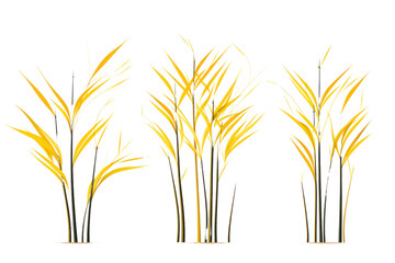 Lemongrass tree drawn with graphics on a white background show simple lines and patterns