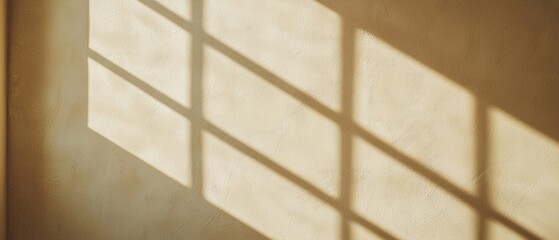 Canvas Print - Sunlight streams through a window