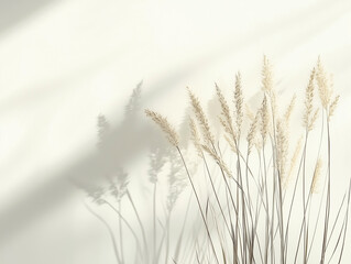 Naklejka na meble Minimalist Grass Plant in Soft Sunlight, Greenery Against Light Wall with Copy Space