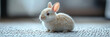 © Vertigo Images - Cute fluffy bunny rabbit on a carpet.