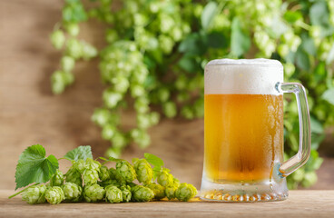 mug of beer and green hops on wooden table