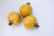 © daniel limantara - There are over 500 named cultivars of pomegranate, including the white variety, each with its unique characteristics and uses