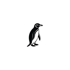 penguin on white background