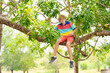 © famveldman - Boy climbing tree in park. Kids explore nature.
