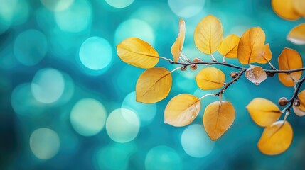 Wall Mural - Tender trsanlucent autumn branch with yellow leaves foliage on bokeh background outdoors