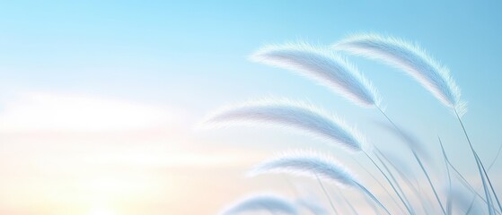 Canvas Print - A field of grass with a blue sky in the background