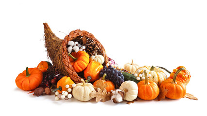 Poster - Thanksgiving cornucopia filled with autumn vegetables, pumpkins and fall decor isolated on a white background