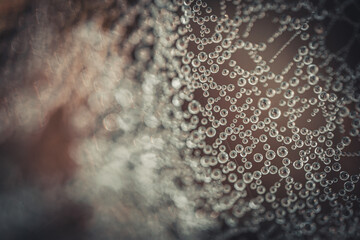 A detailed macro image of a spider web adorned with dew drops, creating a mesmerizing pattern of glistening droplets. The intricate web shimmers against a dark background