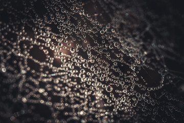 A detailed macro image of a spider web adorned with dew drops, creating a mesmerizing pattern of glistening droplets. The intricate web shimmers against a dark background