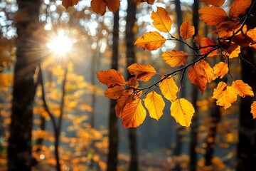 Canvas Print - Golden autumn leaves glowing in the sunlight in a forest. Concept of nature, change, seasons, beauty, peace, and serenity