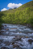 Fototapeta Storczyk - Hemsila river flowing through sommer landscape