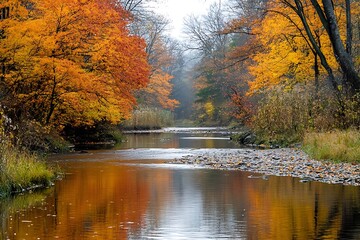 Canvas Print - Autumnal River Scene with Fall Foliage and Sunlight