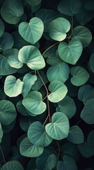 Poster - Green Leaves Texture - Nature Photography