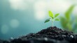 © lime - Sprouting Success in the Business Landscape: Cultivating Ideas for Sustainable Market Dominanceビジネス環境で成功を芽生えさせる: 持続可能な市場支配のためのアイデア育成.Generative AI