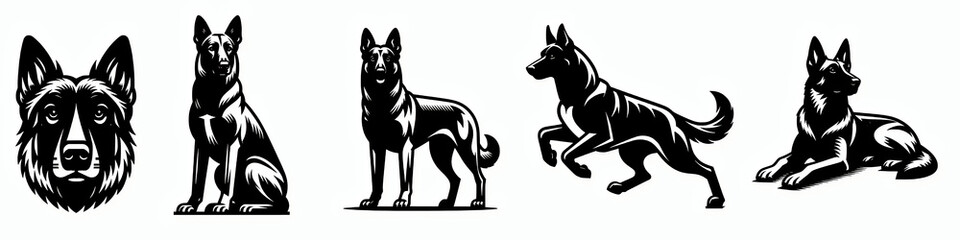 Belgian malinois silhouette vector illustration clip art collection set 