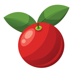 Cranberry fruit illustration on white background.