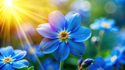 Beautiful blue Vergissmeinnicht flower in full bloom on a sunny day, Vergissmeinnicht, flower, blue, bloom, nature, plant