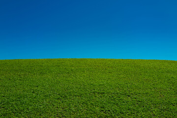 Green grass field. Grassy meadow background. Green grassy field. Grassy pasture landscape background. Wide green grass field. Grassland for background. Nature landscape background.