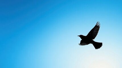 Sticker - A silhouette of a bird in flight against a clear blue sky.