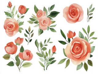 Canvas Print - Watercolor Roses Illustration.