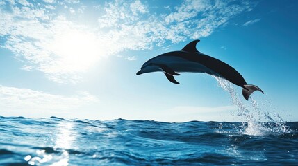 Wall Mural - A dolphin leaps from the ocean under a bright sky, showcasing its agility and grace.