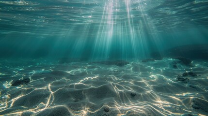 Wall Mural - Sunlight Underwater