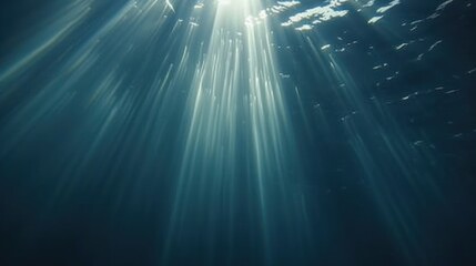 Wall Mural - Sunbeams Underwater