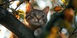 © paisorn - Cat ascending a tree, soft background of blurred leaves and branches, capturing a moment of playful exploration in nature.