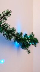 Canvas Print - Pine branch with blue christmas lights against a white wall