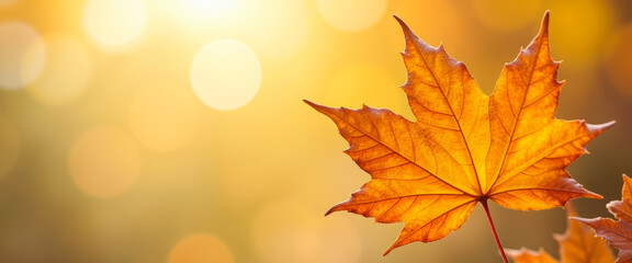 Autumn leaf with bokeh background