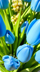 Canvas Print - Blue Tulips Close Up