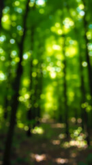 Poster - Abstract Green Bokeh Background