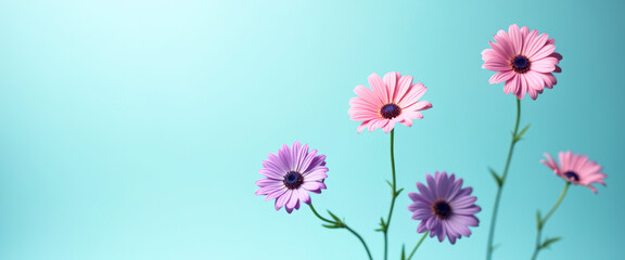 Poster - Pink and Purple Flowers on a Blue Background