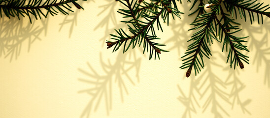 Canvas Print - Pine Branch Shadow On Yellow Background