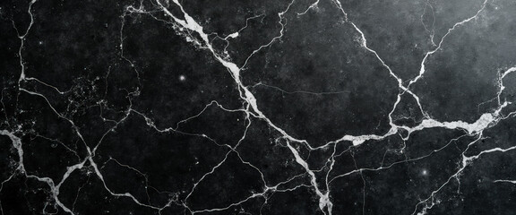 Wall Mural - Black marble with white veins